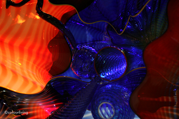 dale chihuly at halcyon gallery