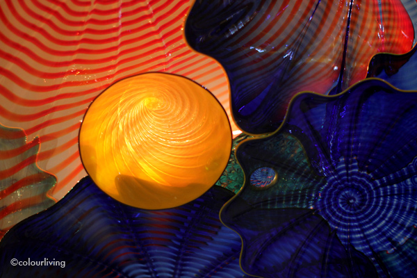 dale chihuly at halcyon gallery