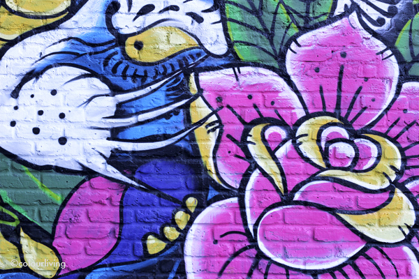 graffiti and street art - colourliving