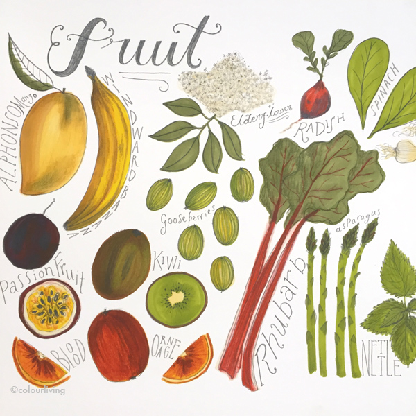 food illustrations by esther cooper-wood - colourliving